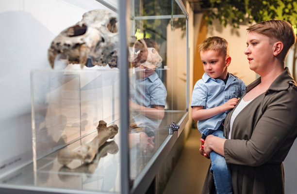 Museum Insurance